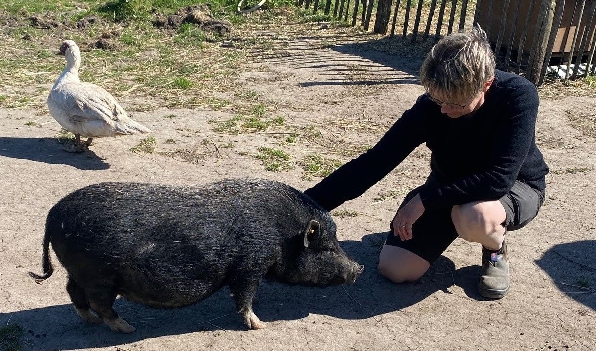 Landmand klapper minigris.jpg