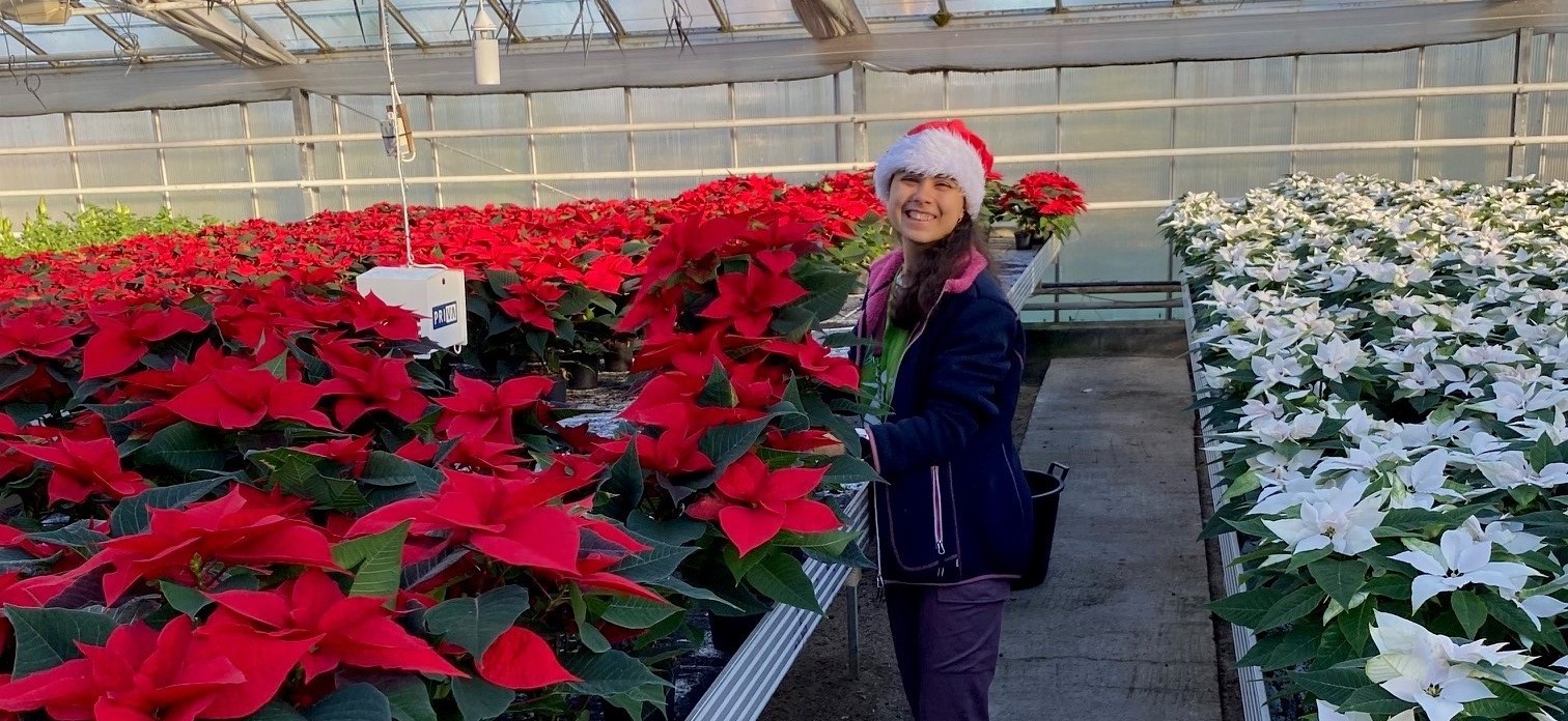 Esra ved julestjerne i Gartneriet.jpg